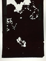 Antique Japanese Katagami Paper Kimono Stencil Katazome Garden Pattern C864