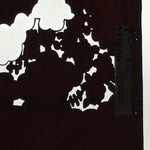 Antique Japanese Katagami Paper Kimono Stencil Katazome Garden Pattern C864