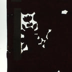 Antique Japanese Katagami Paper Kimono Stencil Katazome Garden Pattern C864