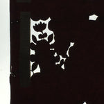 Antique Japanese Katagami Paper Kimono Stencil Katazome Garden Pattern C864