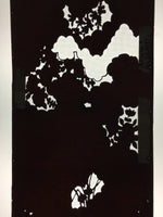 Antique Japanese Katagami Paper Kimono Stencil Katazome Garden Pattern C865