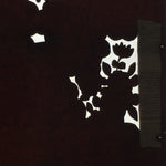 Antique Japanese Katagami Paper Kimono Stencil Katazome Garden Pattern C865