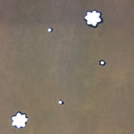 Antique Japanese Katagami Paper Kimono Stencil Katazome Leaf Design C643