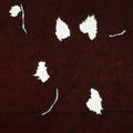 Antique Japanese Katagami Paper Kimono Stencil Katazome Leaf Pattern C852