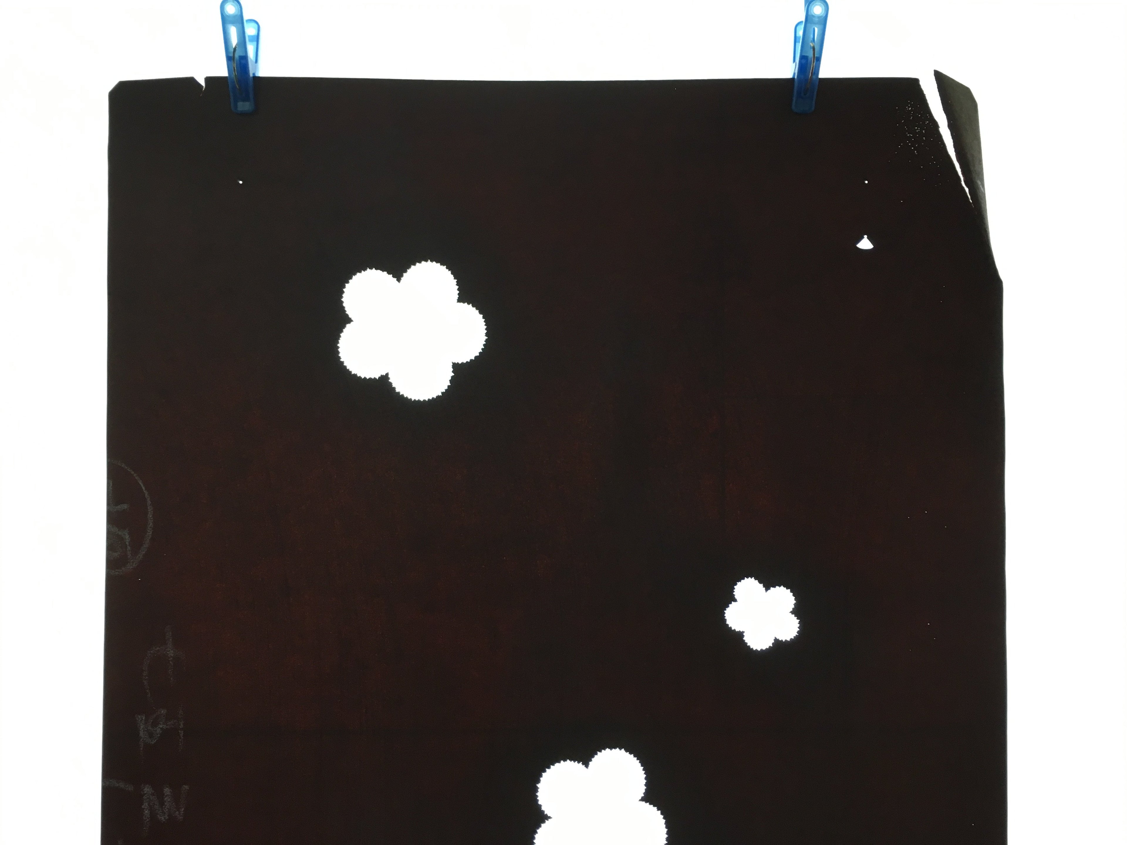 Antique Japanese Meiji Era Katagami Kimono Stencil Katazome Sakura Flower C253