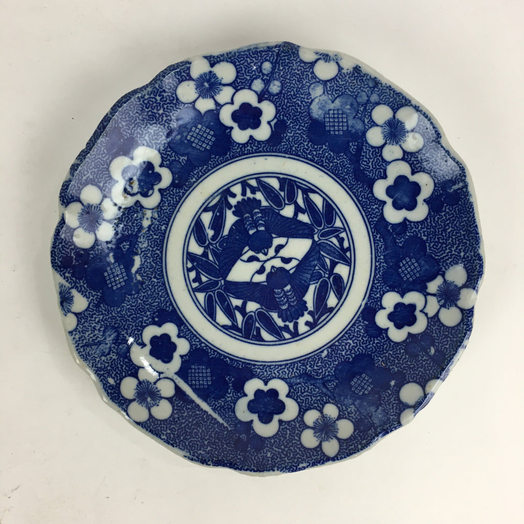 Antique Japanese Porcelain Plate Pottery Sometsuke Blue Sara White PP957