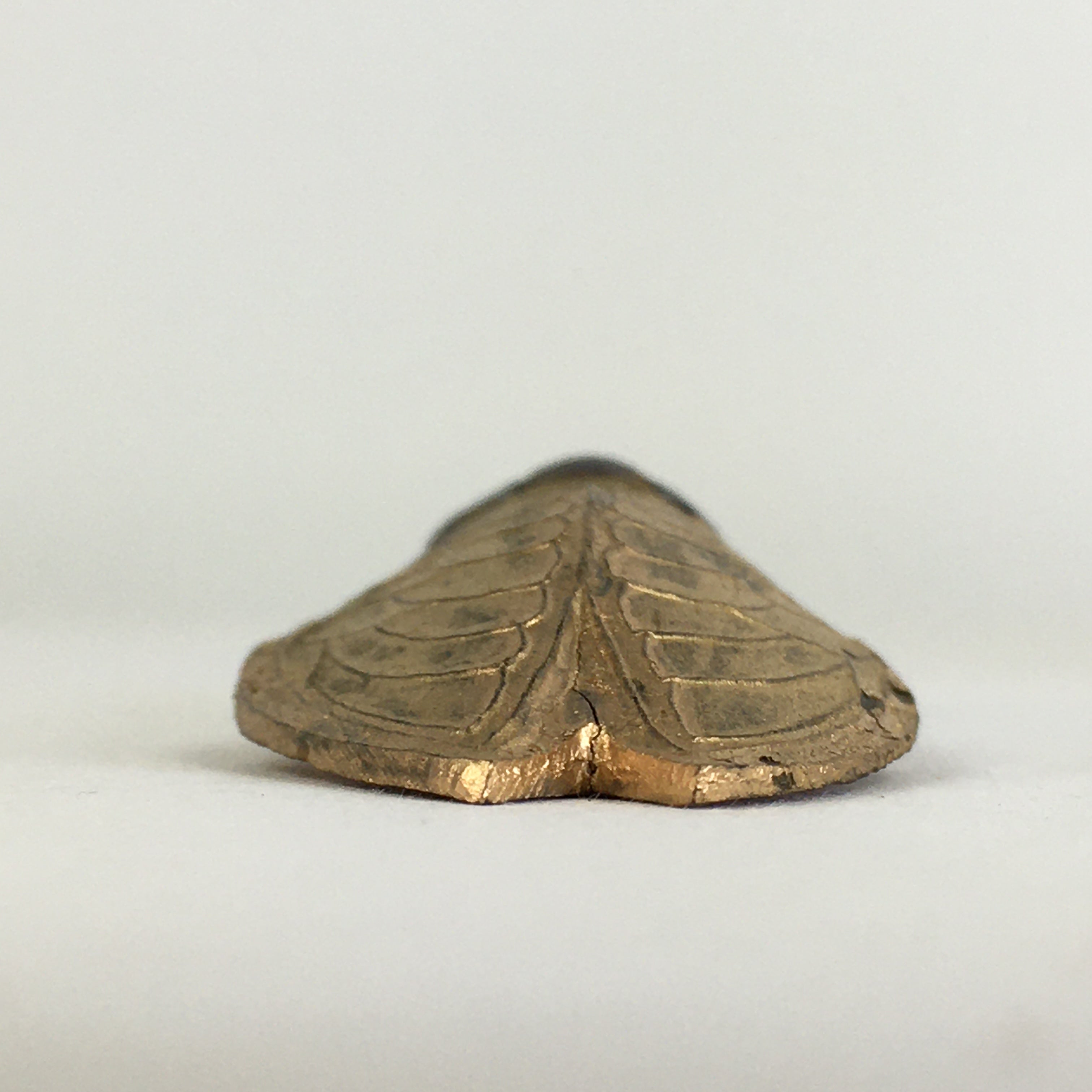 Chinese Sumi Solid Ink Vtg Golden Cicada Design Ink Glass Lidded Box Semi JK319