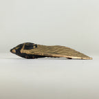 Chinese Sumi Solid Ink Vtg Golden Cicada Design Ink Glass Lidded Box Semi JK319