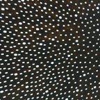 Japanese Antique Ise Katagami Paper Kimono Stencil Edo Dots Pattern A536
