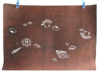 Japanese Antique Ise Katagami Paper Kimono Stencil Seashell Design A613