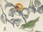 Japanese Art Board Painting Autumn Persimmon Shikishi Paper Hand Drawn A484