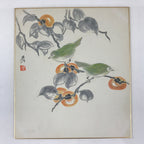 Japanese Art Board Painting Autumn Persimmon Shikishi Paper Hand Drawn A484