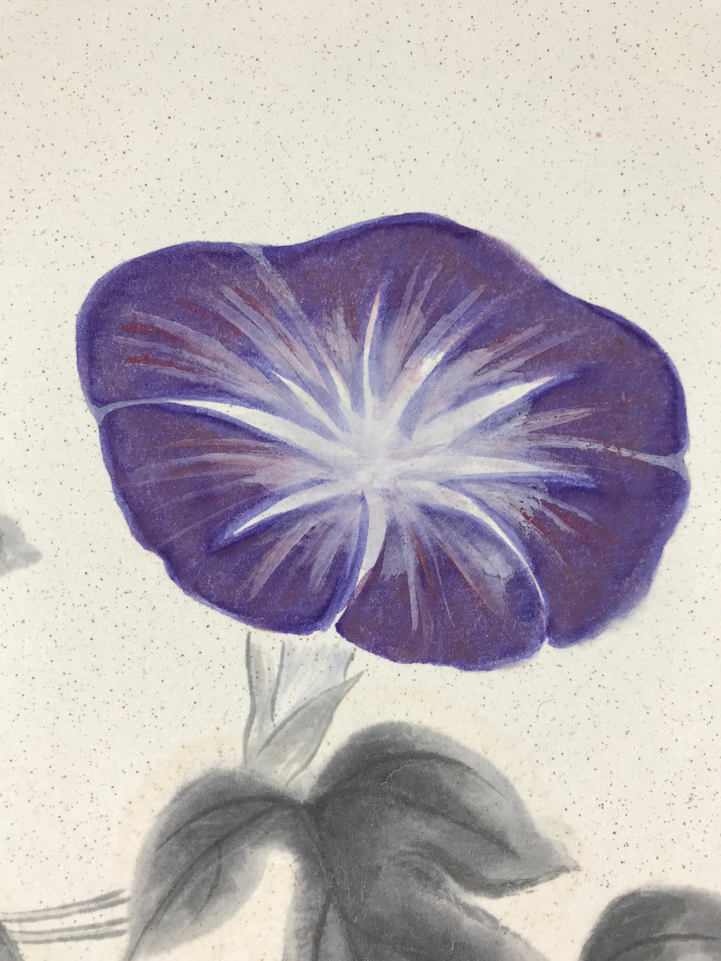 Japanese Art Board Painting Morning Glory Flower Shikishi Paper Hand Painted A4