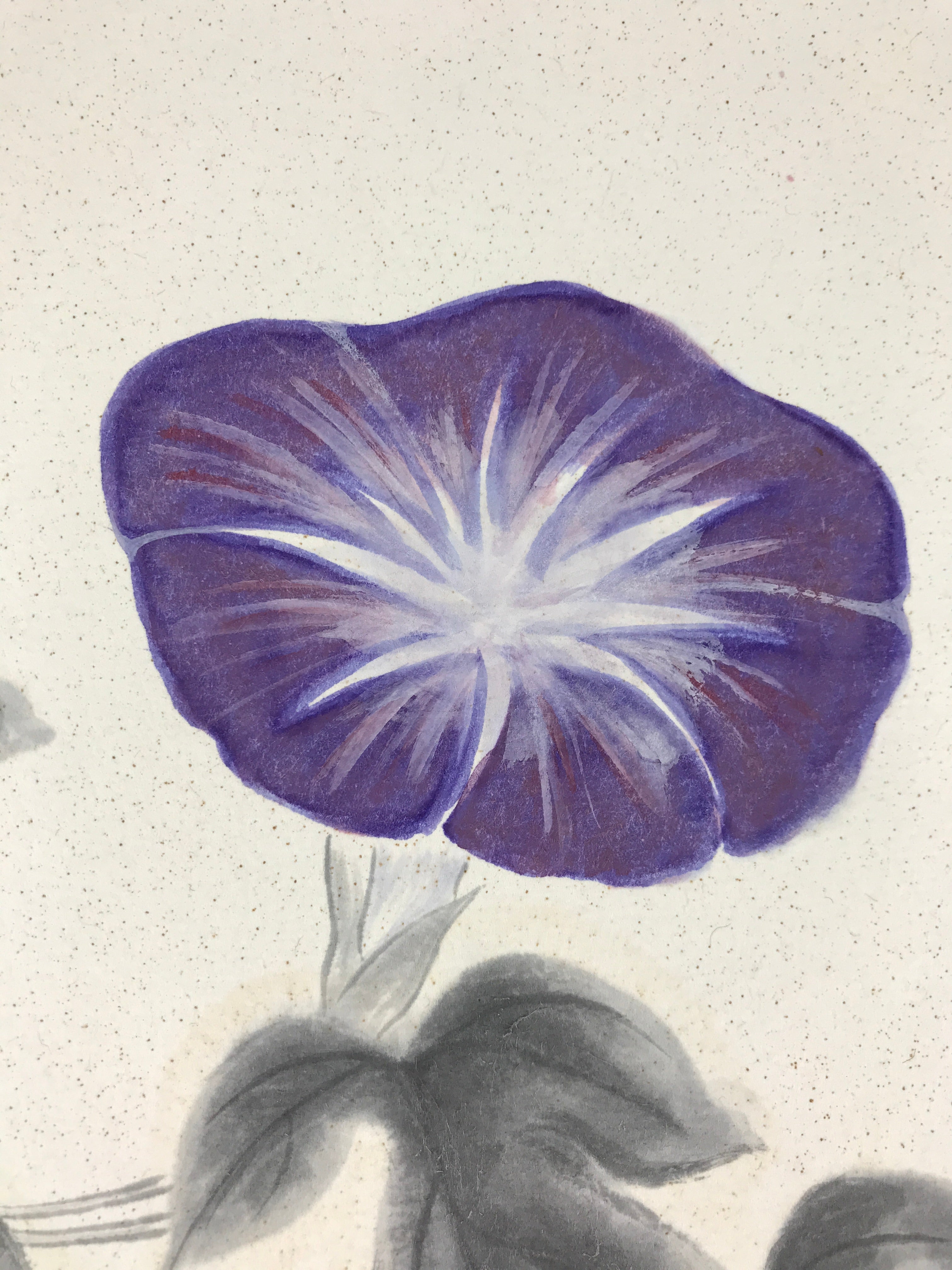 Japanese Art Board Painting Morning Glory Flower Shikishi Paper Hand Painted A4