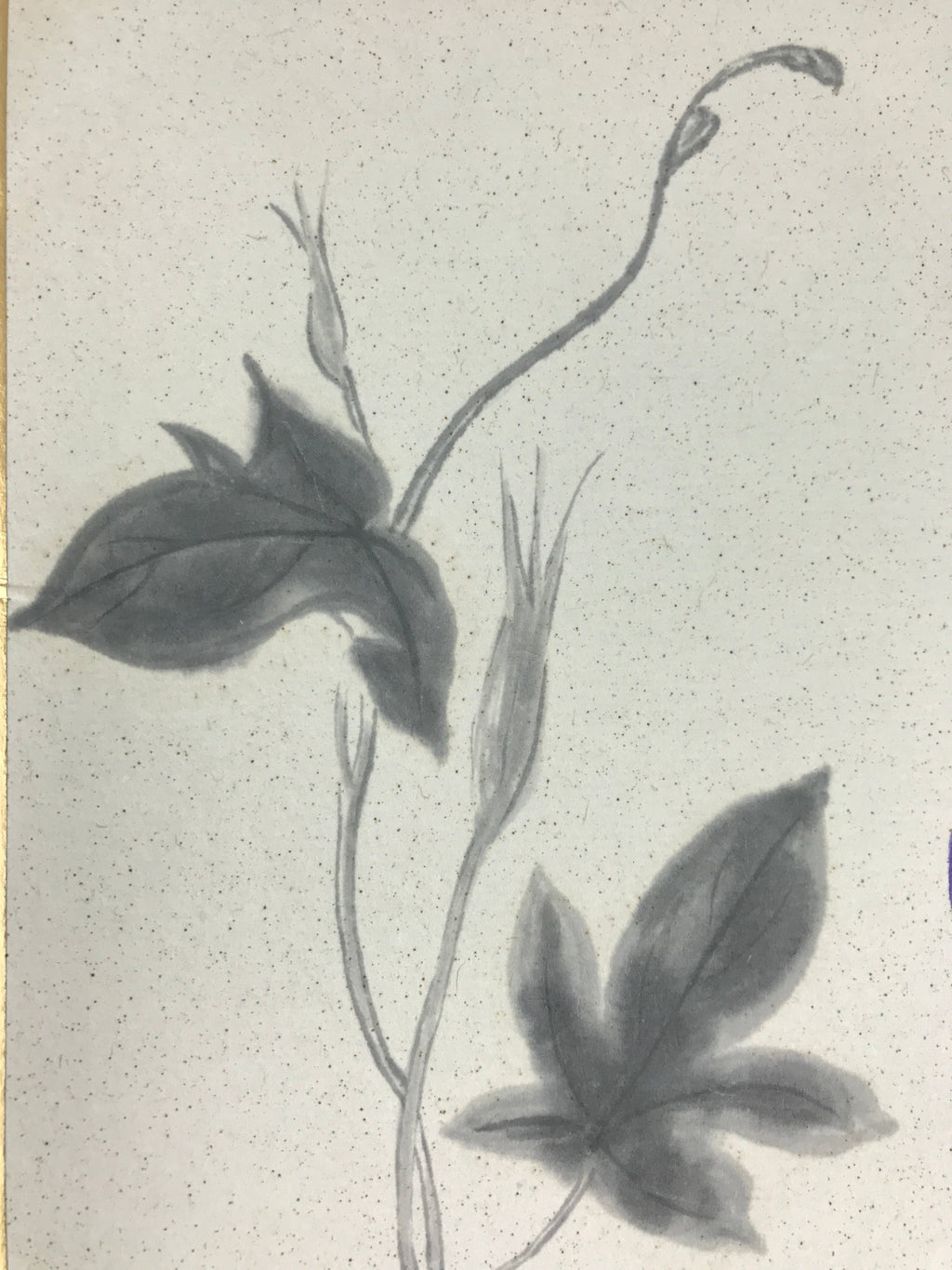 Japanese Art Board Painting Morning Glory Flower Shikishi Paper Hand Painted A4