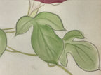 Japanese Art Board Painting Morning Glory Flower Shikishi Paper Hand Painted A48
