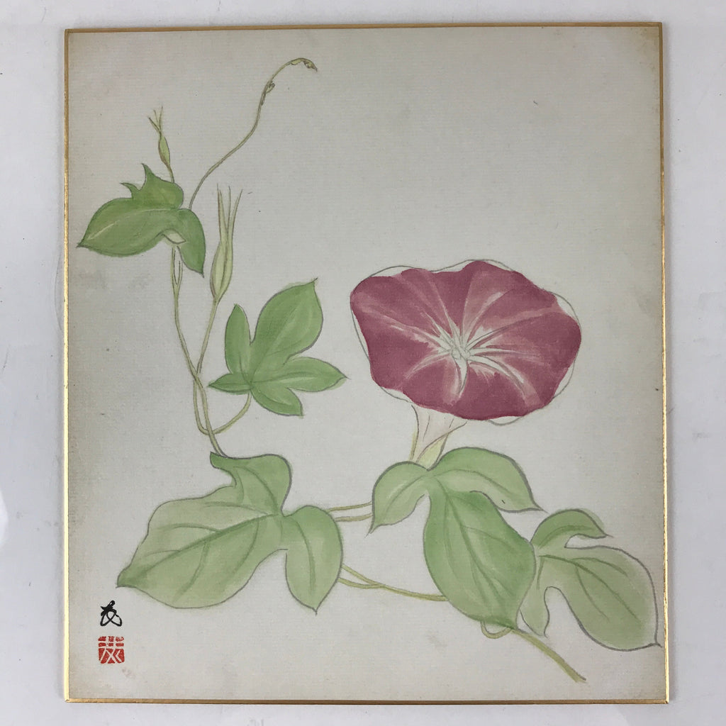 Japanese Art Board Painting Morning Glory Flower Shikishi Paper Hand Painted A48