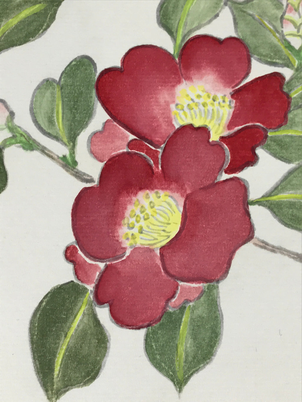 Japanese Art Board Painting Pink Camellia Flower Shikishi Paper Signed A480