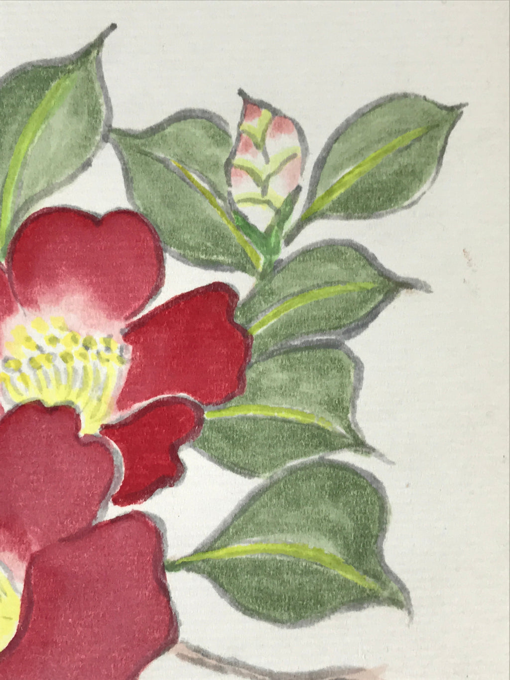 Japanese Art Board Painting Pink Camellia Flower Shikishi Paper Signed A480
