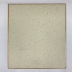 Japanese Art Board Painting Shikishi Black White Bird Paper Hand Painted A492