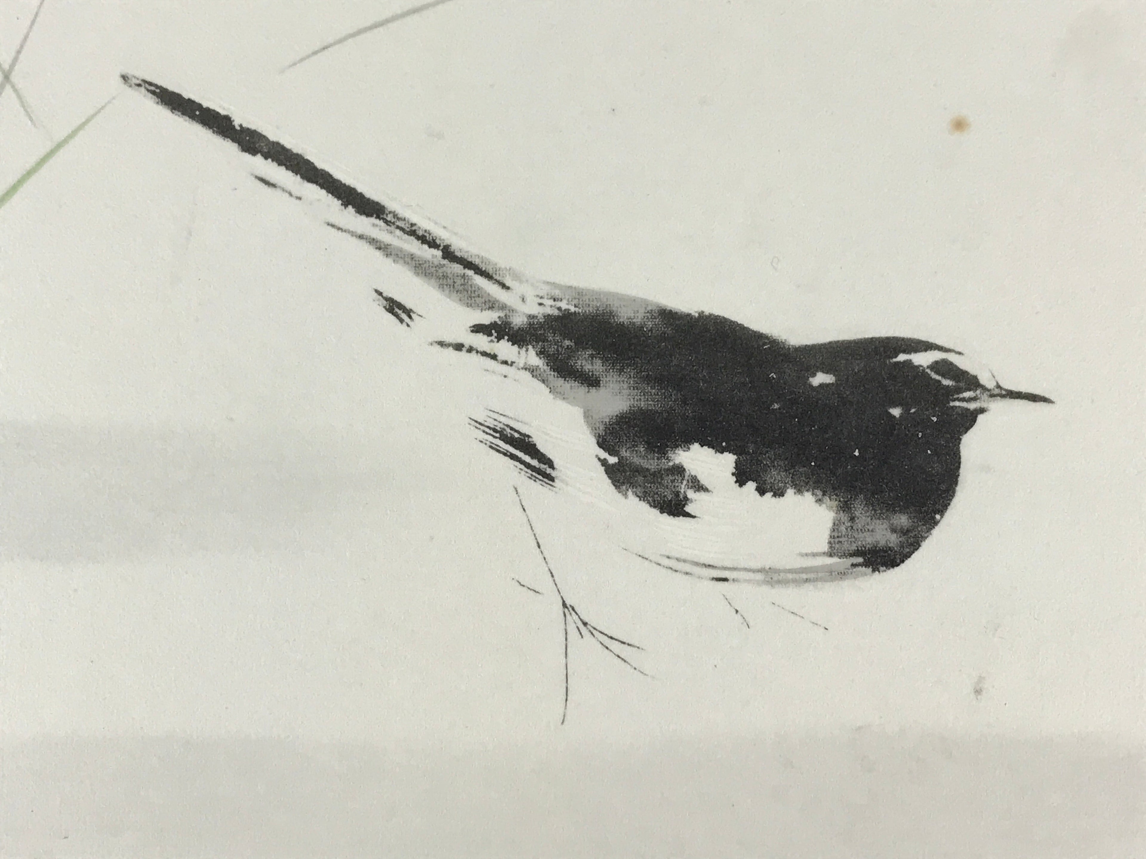 Japanese Art Board Painting Shikishi Black White Bird Paper Hand Painted A492