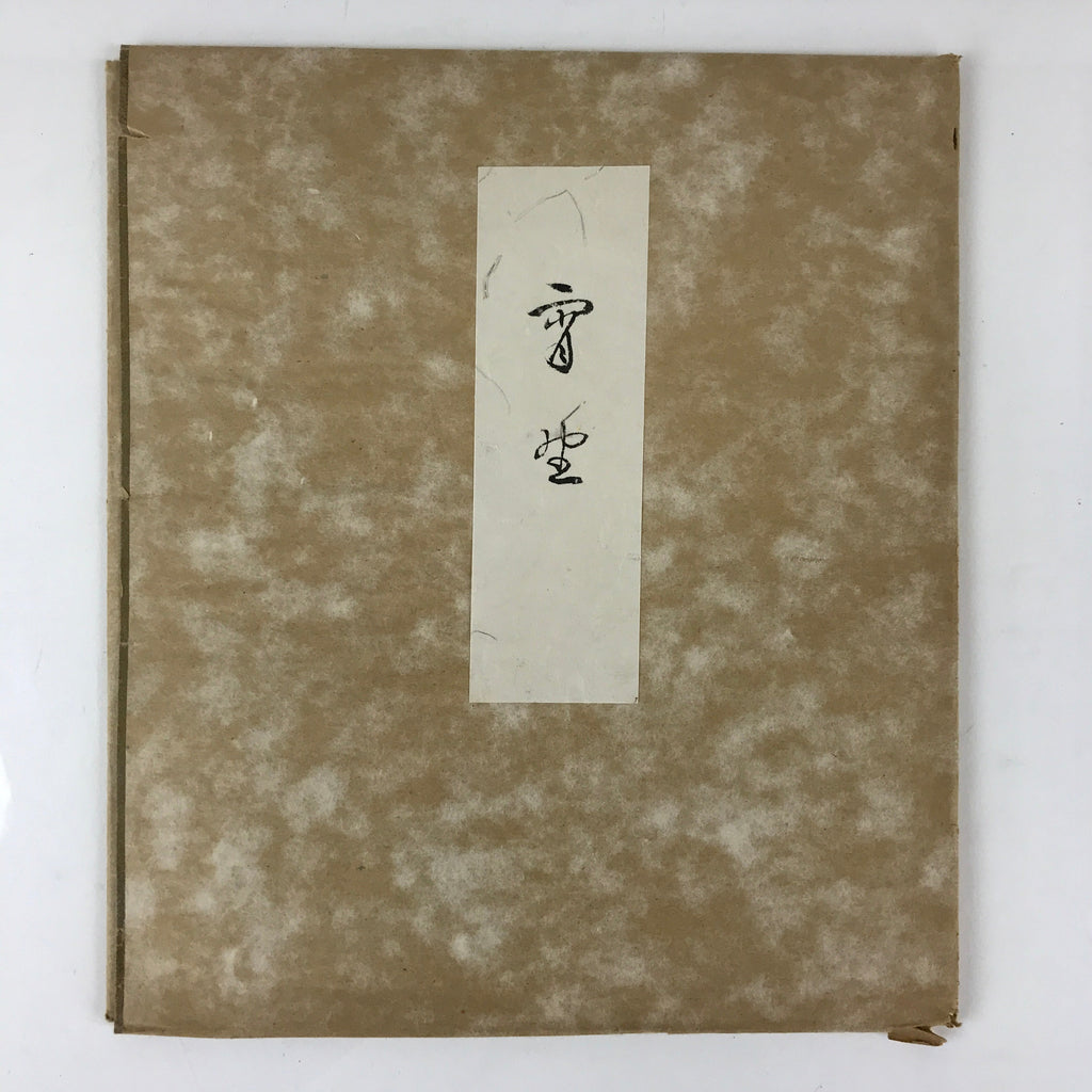 Japanese Art Board Painting Shikishi Black White Bird Paper Hand Painted A492