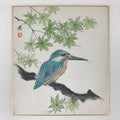 Japanese Art Board Painting Shikishi Bluebird PaperHand Painted Picture A478
