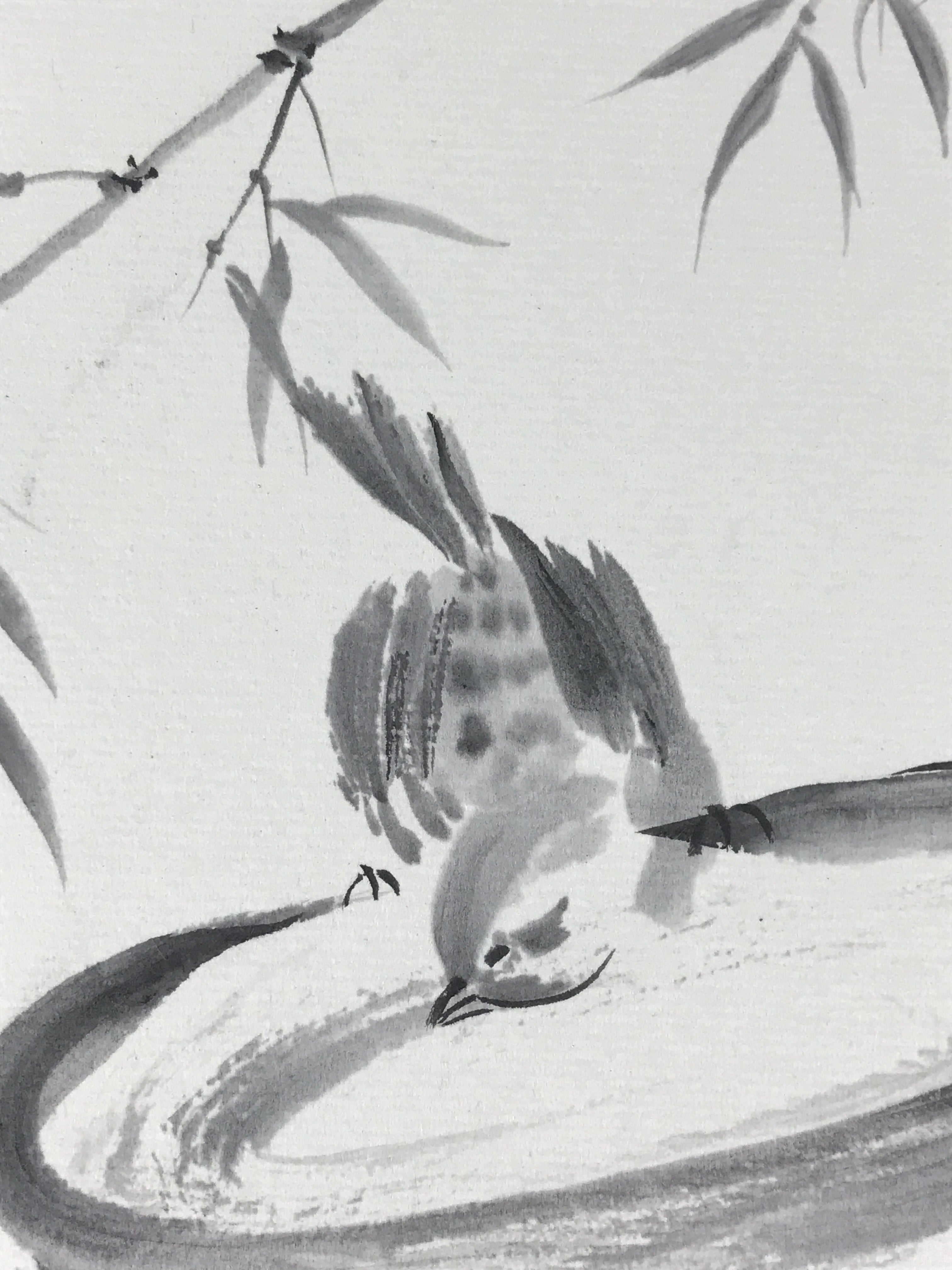 Japanese Art Board Painting Shikishi Sparrow Tree Paper Hand Painted Signed A491
