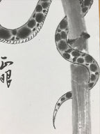 Japanese Art Board Print Vtg Shikishi Paper Zodiac Symbol Snake Signed A489