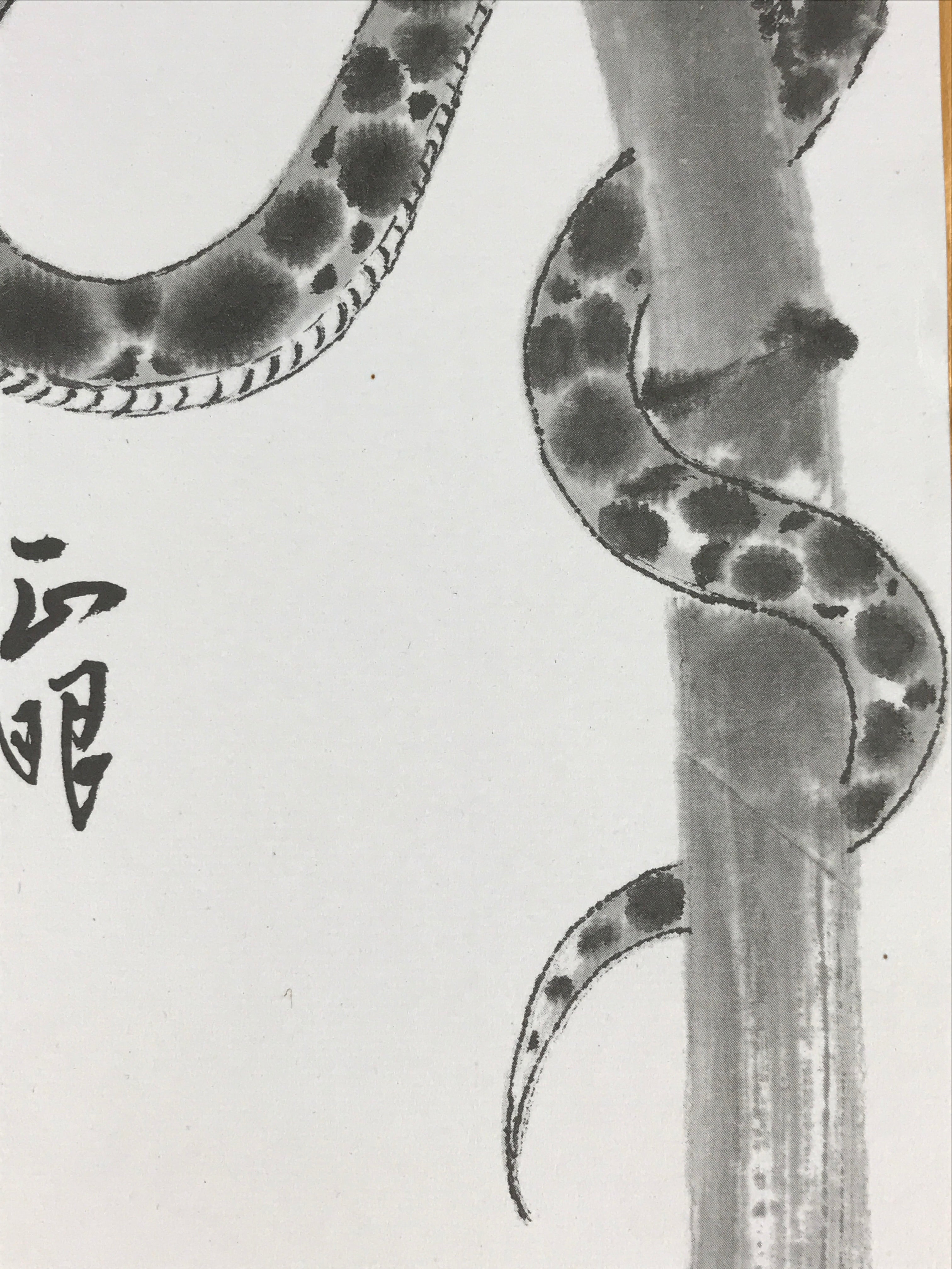 Japanese Art Board Print Vtg Shikishi Paper Zodiac Symbol Snake Signed A489