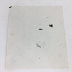 Japanese Art Board Vtg Drawing Paper Hand Drawn Picture Chicken Family A332