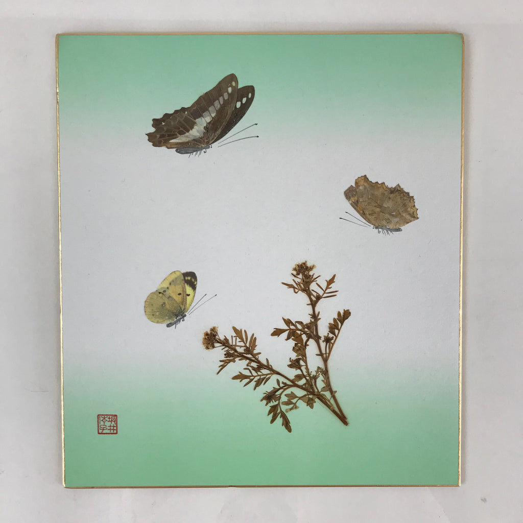 Japanese Art Board Vtg Shikishi Paper Butterflies And Plants A438