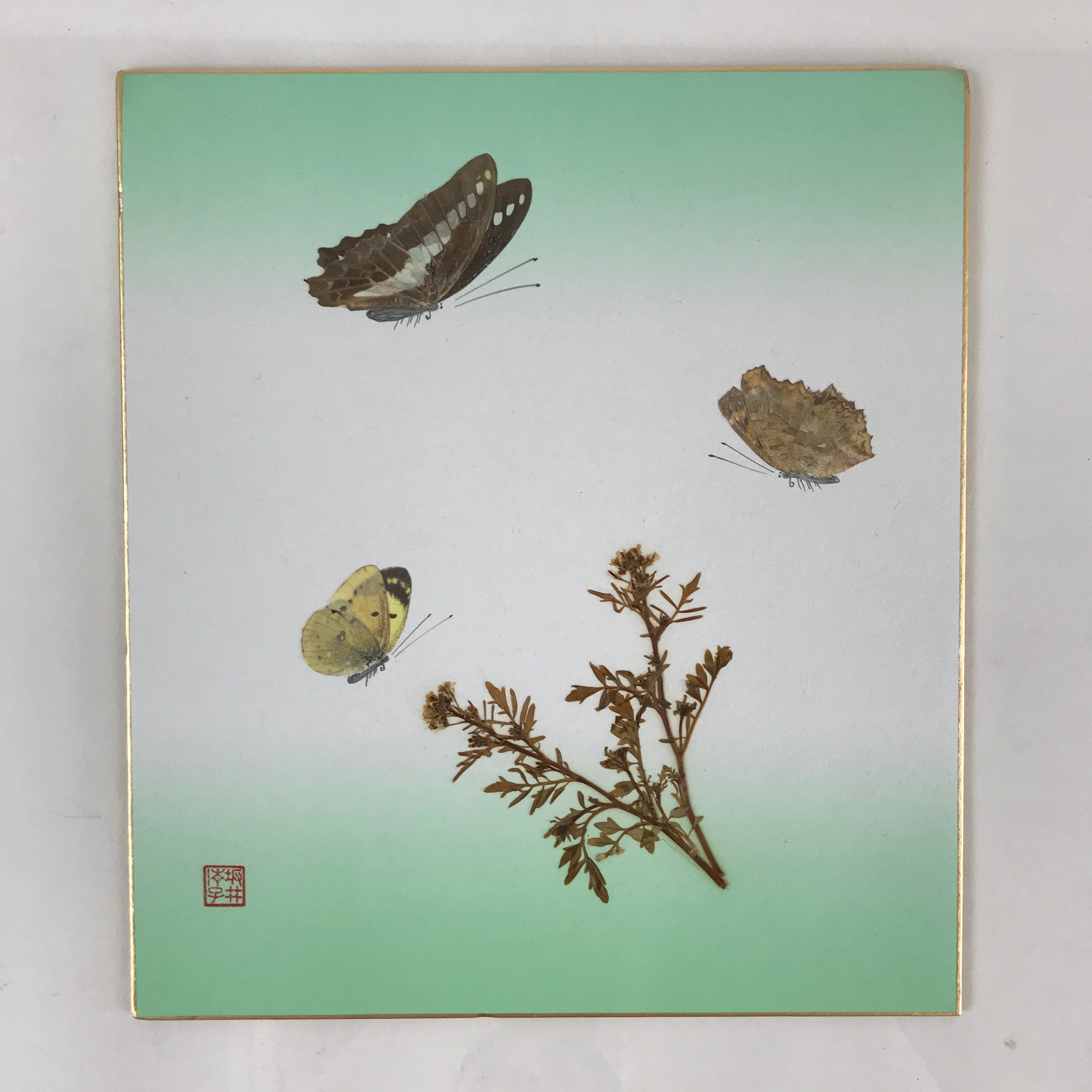 Japanese Art Board Vtg Shikishi Paper Butterflies And Plants A438