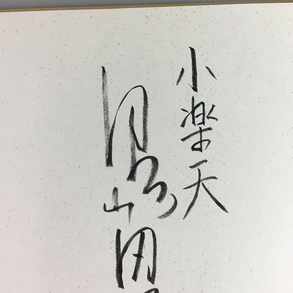 Japanese Art Board Vtg Shikishi Paper Calligraphy Kanji Handwritten A201