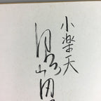 Japanese Art Board Vtg Shikishi Paper Calligraphy Kanji Handwritten A201