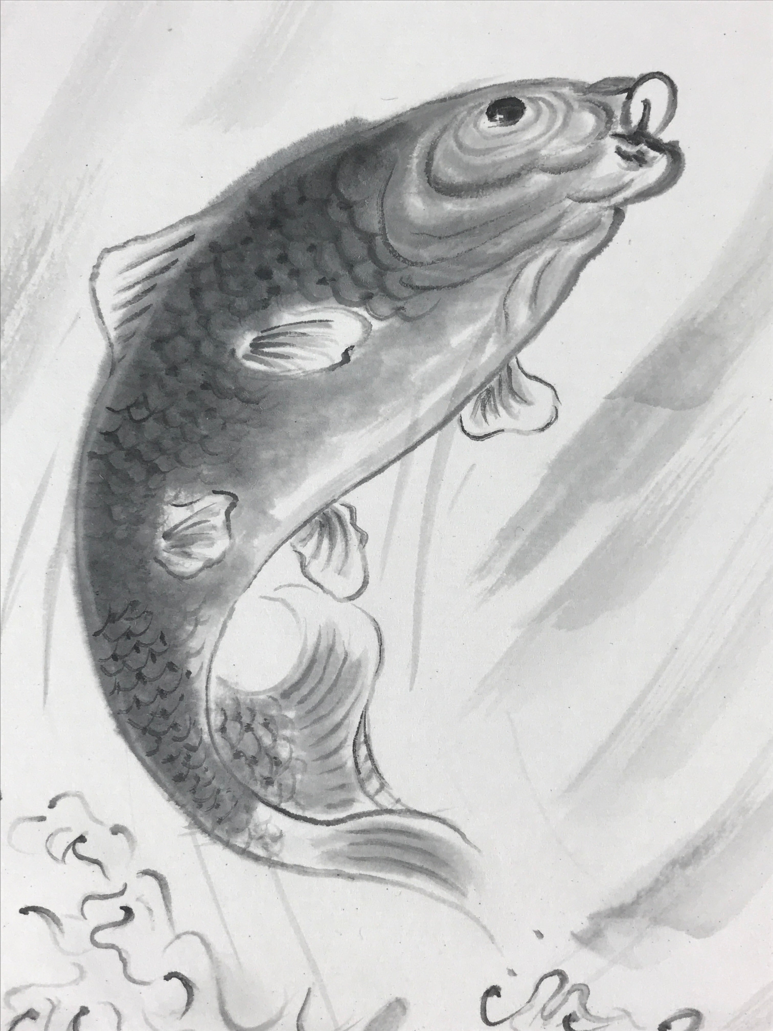 Japanese Art Board Vtg Shikishi Paper Hand Drawn Picture Carp A462
