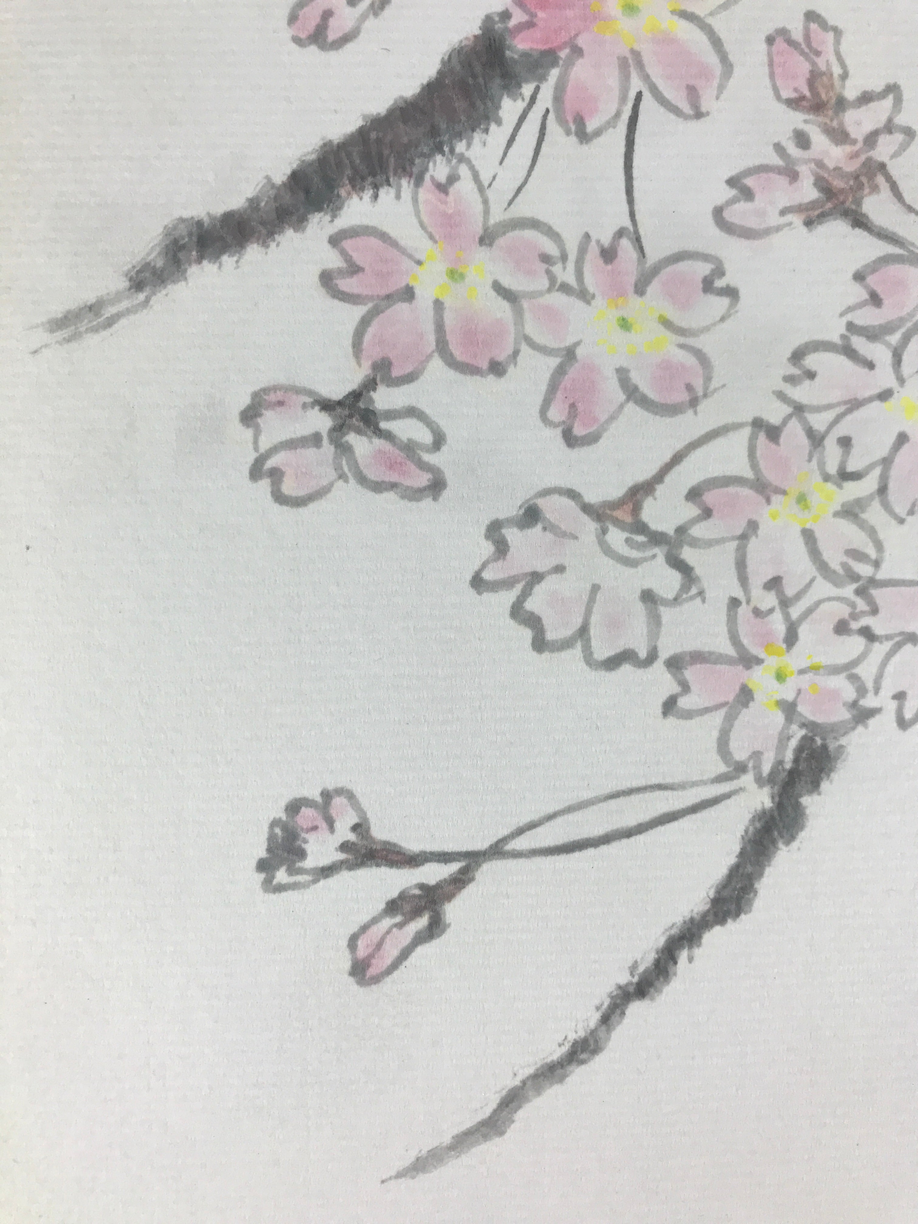 Japanese Art Board Vtg Shikishi Paper Hand Drawn Picture Cherry Blossom A456