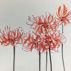 Japanese Art Board Vtg Shikishi Paper Hand Drawn Picture Cluster Amaryllis A362