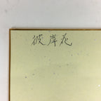Japanese Art Board Vtg Shikishi Paper Hand Drawn Picture Cluster Amaryllis A362