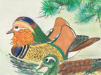 Japanese Art Board Vtg Shikishi Paper Hand Drawn Picture Ducks A446