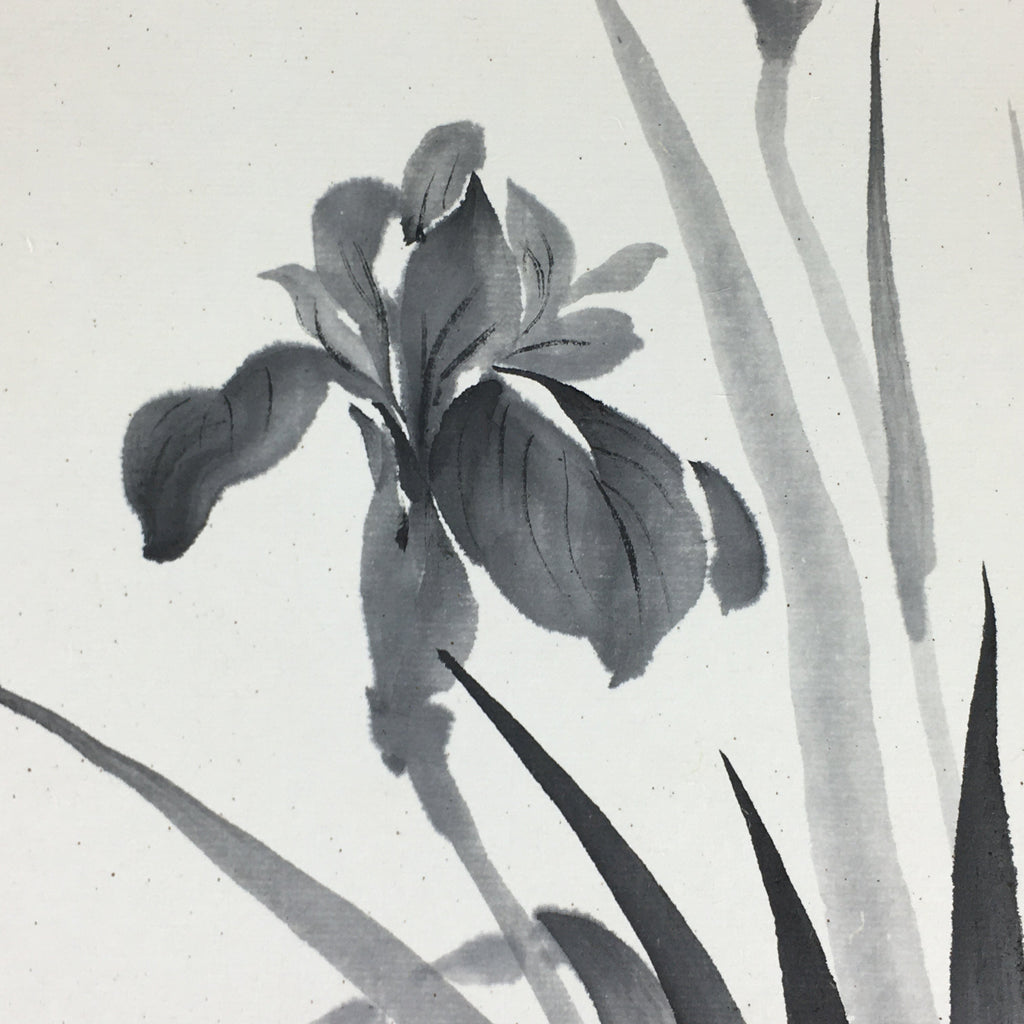 Japanese Art Board Vtg Shikishi Paper Hand Drawn Picture Iris Black ink A416