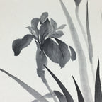 Japanese Art Board Vtg Shikishi Paper Hand Drawn Picture Iris Black ink A416