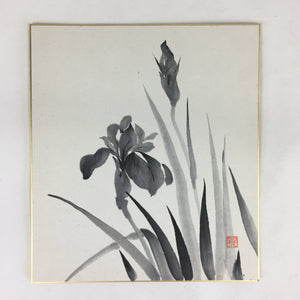 Japanese Art Board Vtg Shikishi Paper Hand Drawn Picture Iris Black ink A416
