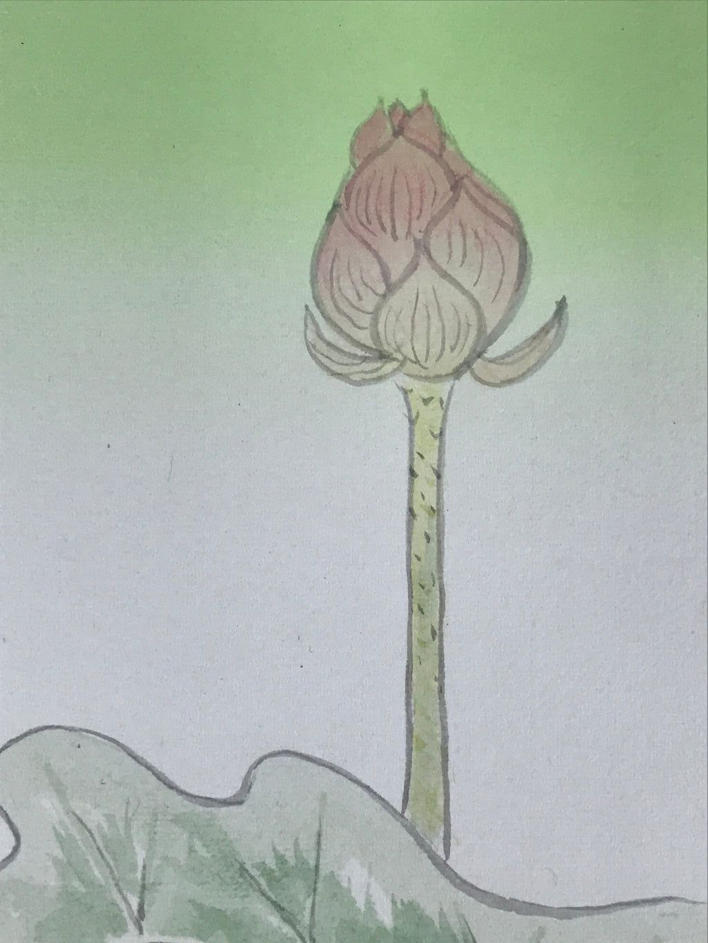 Japanese Art Board Vtg Shikishi Paper Hand Drawn Picture Lotus Flower A450