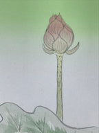 Japanese Art Board Vtg Shikishi Paper Hand Drawn Picture Lotus Flower A450