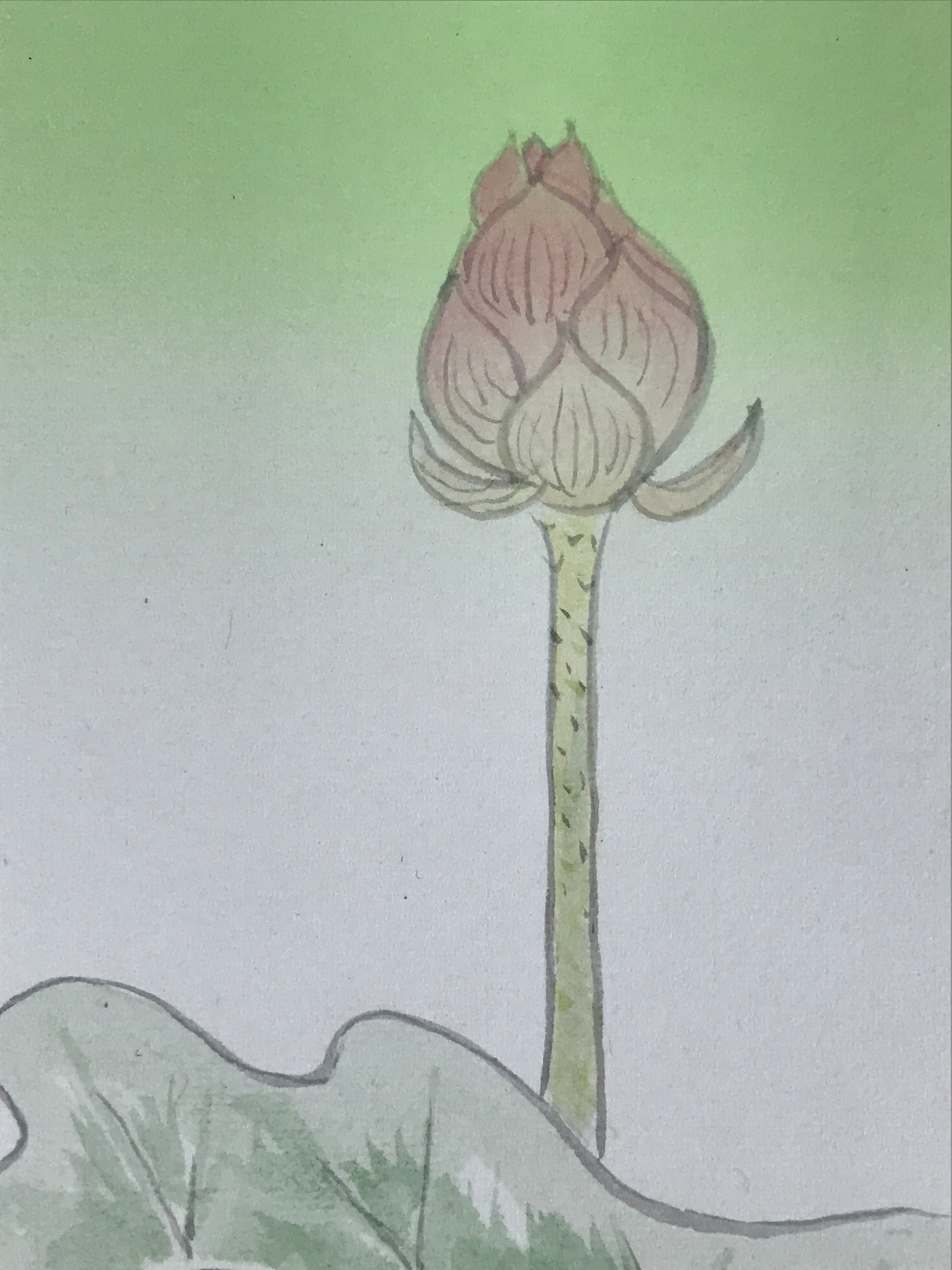 Japanese Art Board Vtg Shikishi Paper Hand Drawn Picture Lotus Flower A450
