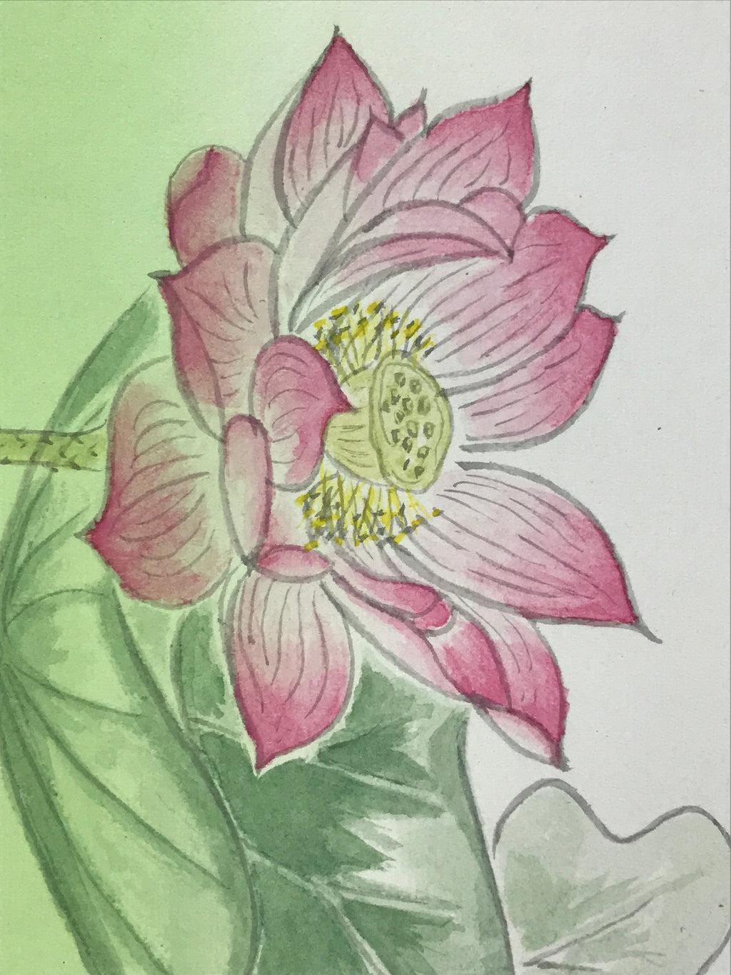 Japanese Art Board Vtg Shikishi Paper Hand Drawn Picture Lotus Flower A450