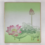 Japanese Art Board Vtg Shikishi Paper Hand Drawn Picture Lotus Flower A450