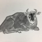 Japanese Art Board Vtg Shikishi Paper Hand Drawn Picture Lying Black Cow A375