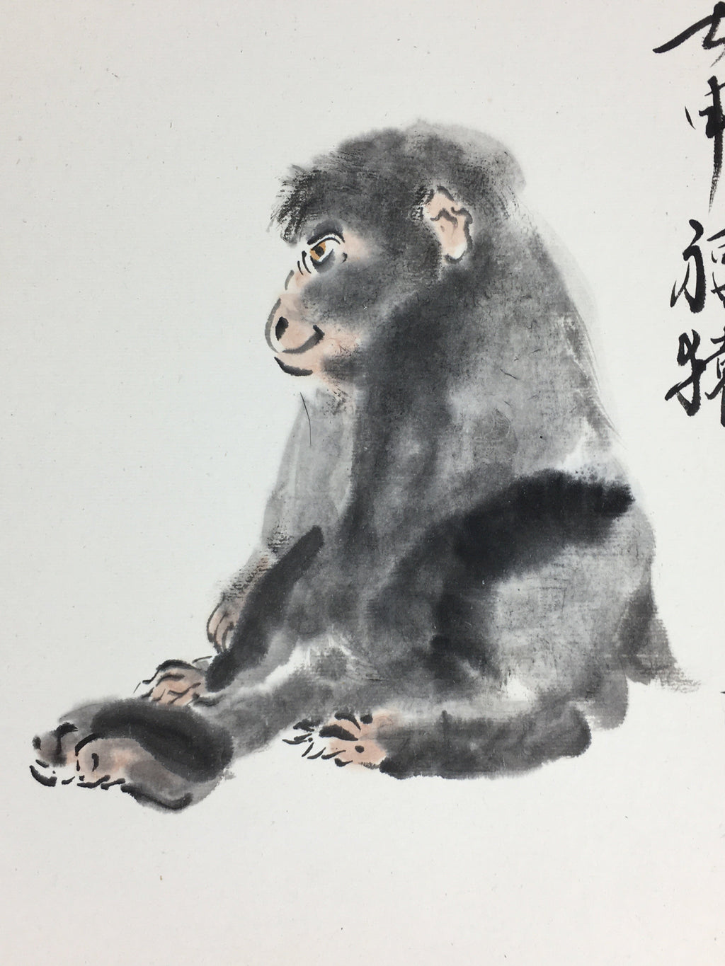 Japanese Art Board Vtg Shikishi Paper Hand Drawn Picture Monkey A429